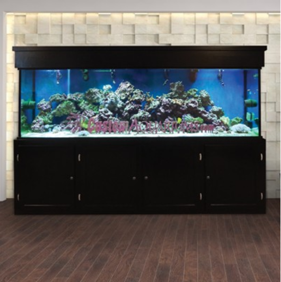 300 gallon freshwater aquarium