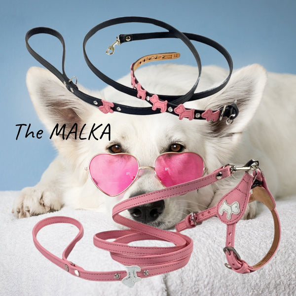 Malka dog leather collar, leash, harness and more