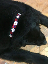 Load image into Gallery viewer, Penelope Flower Leather Collar with Crystals on Flower &amp; Collar