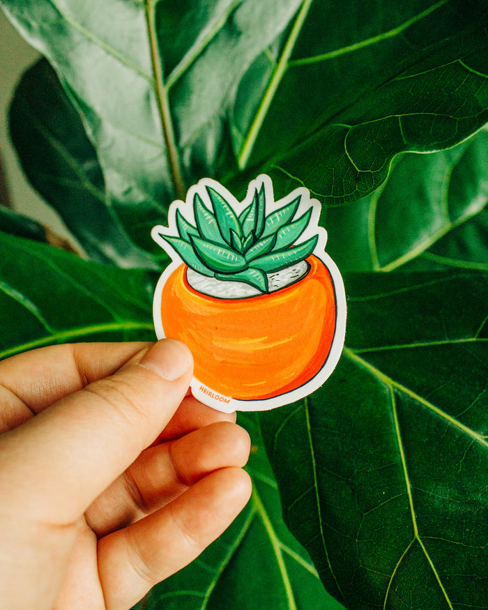 Simple Cacti Sticker for Sale by savkat