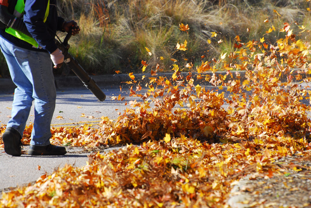 Man clearing leaves and debris with leaf blower. Schröder USA