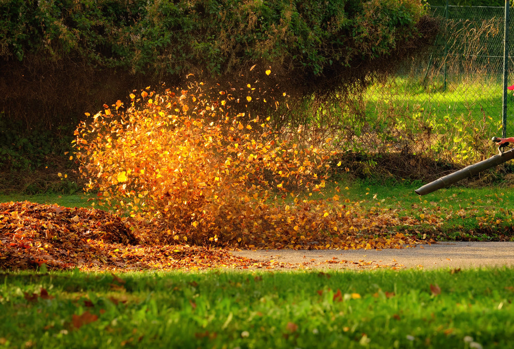 Use a commercial leaf blower for large areas. Schröder USA