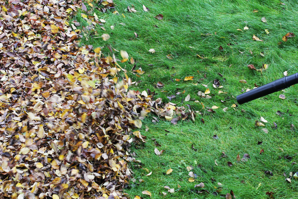 Worker needing leaf blower repair to blow leaves, dirt and debris. Schröder USA