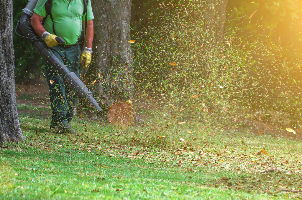 Man working with leaf blower in the park moving glass and leaves.  Schröder USA