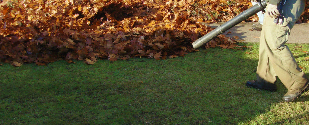 A gas leaf blower is efficient in cleaning leaves, dirt, and debris. Schröder USA