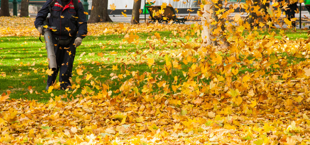 Blowing leaves with a gas Powered Leaf Blower. Schröder USA