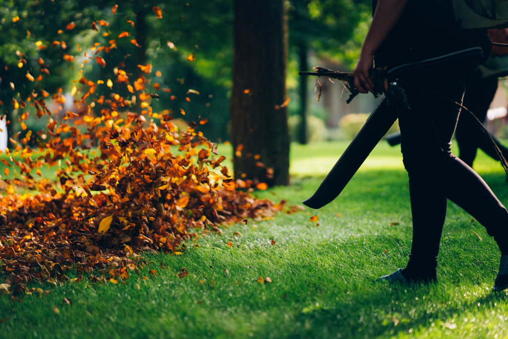 Worker using a leaf blower on leaves and grass. Schröder USA