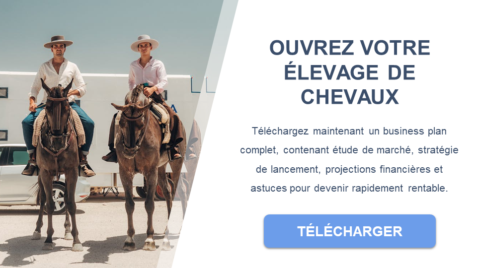 élevage de chevaux business plan gratuit