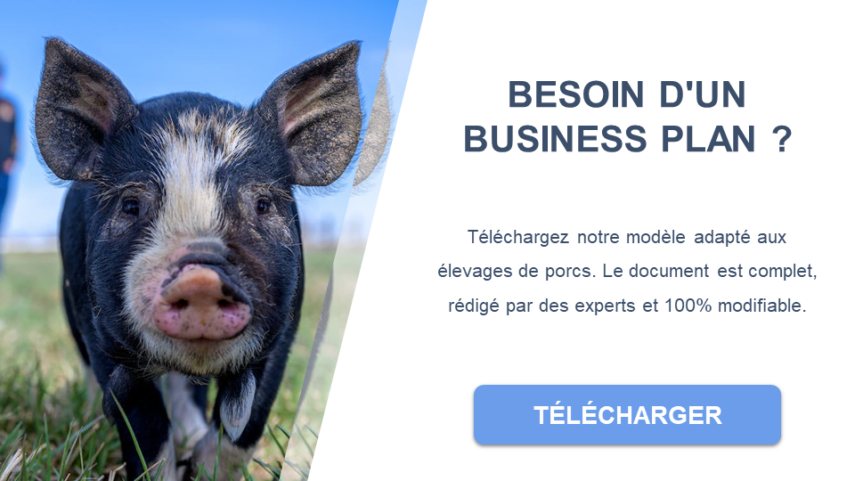 élevage de porcs business plan pdf