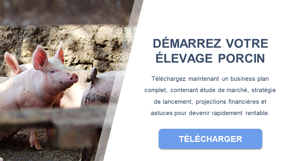 élevage de porcs business plan gratuit