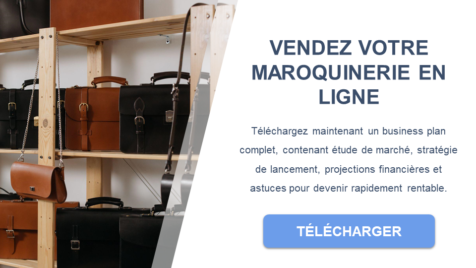 activité de vente e-commerce de maroquinerie business plan gratuit