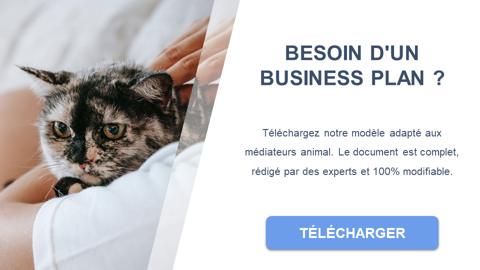 projet de médiation animale business plan pdf