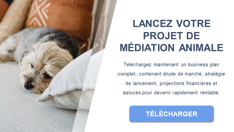 projet de médiation animale business plan gratuit