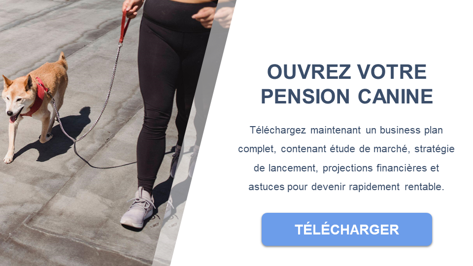 pension canine business plan gratuit