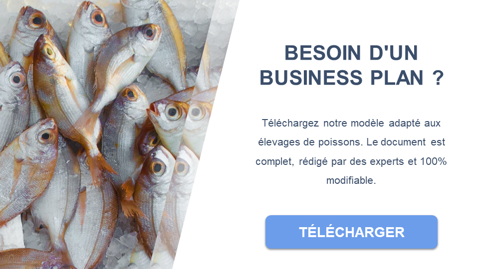 élevage de pisciculture business plan pdf