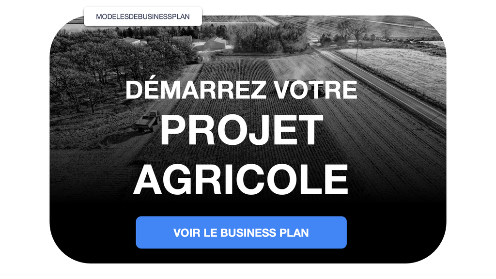 projet agricole business plan ppt pdf word