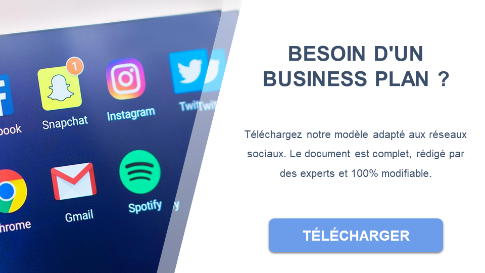 réseau social business plan pdf