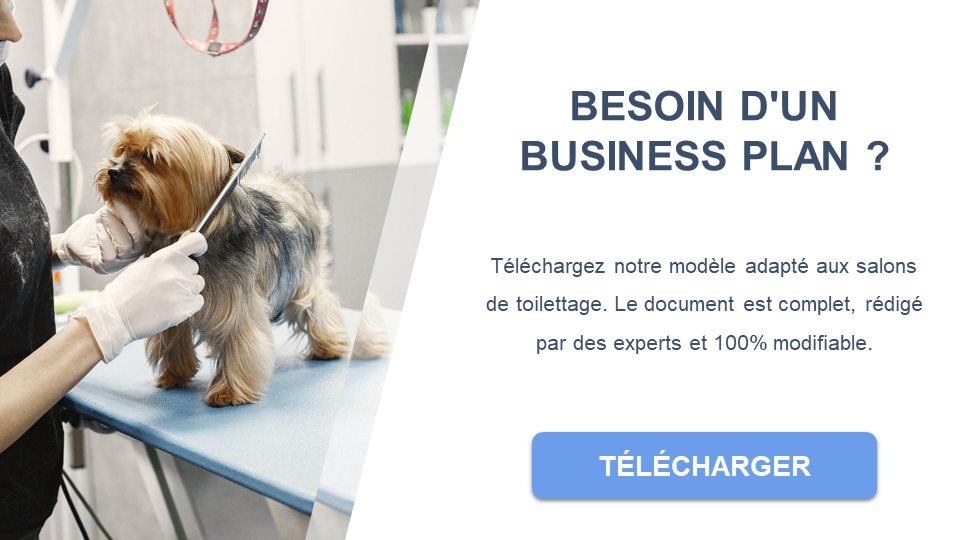 salon de toilettage business plan pdf