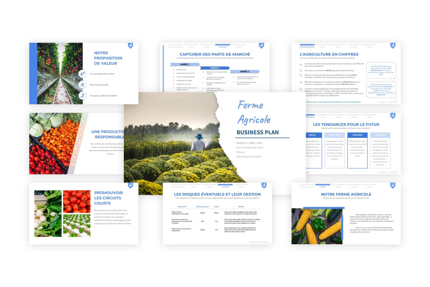 business plan projet agricole pdf gratuit