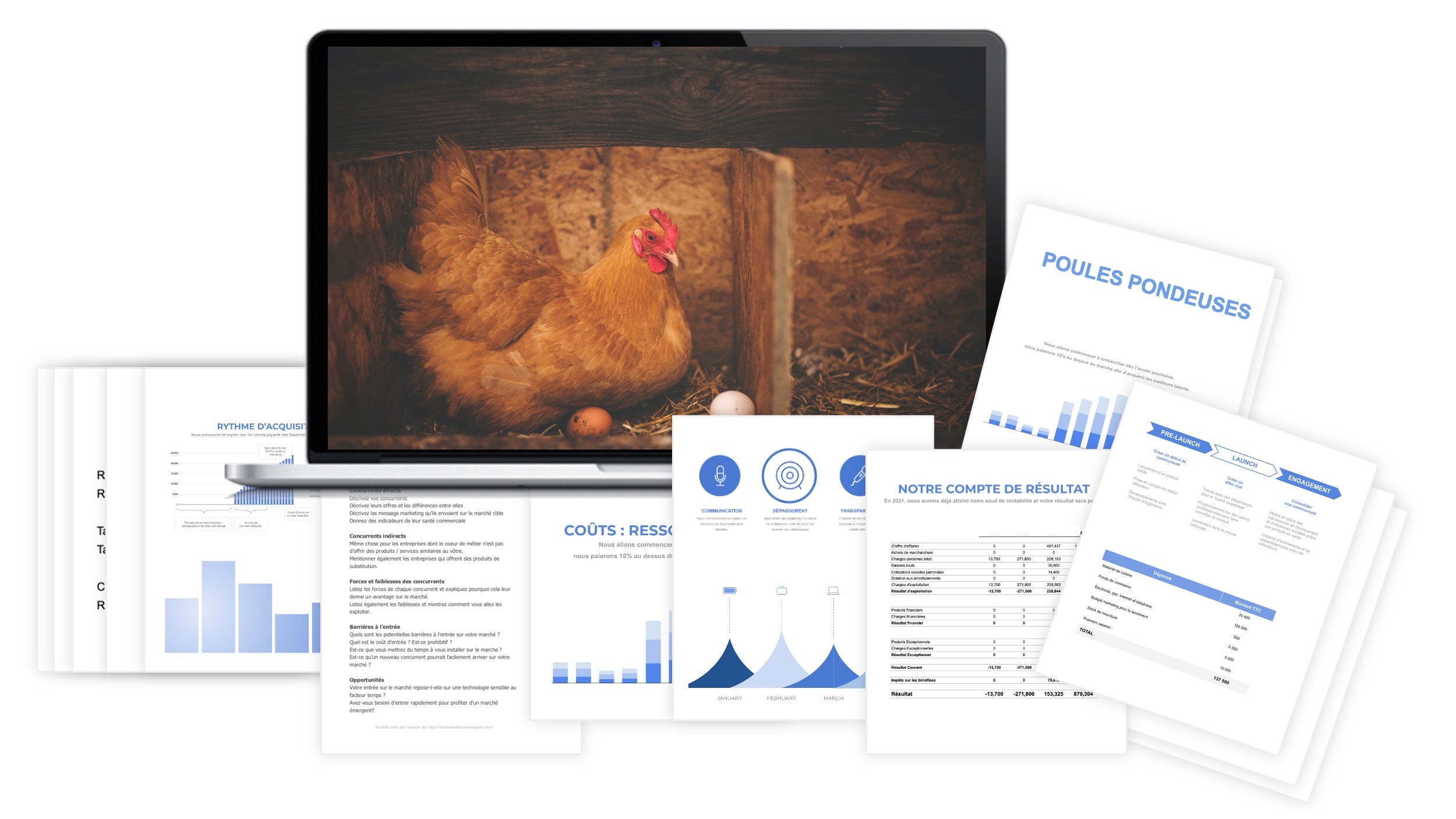 business plan elevage de poules pdf