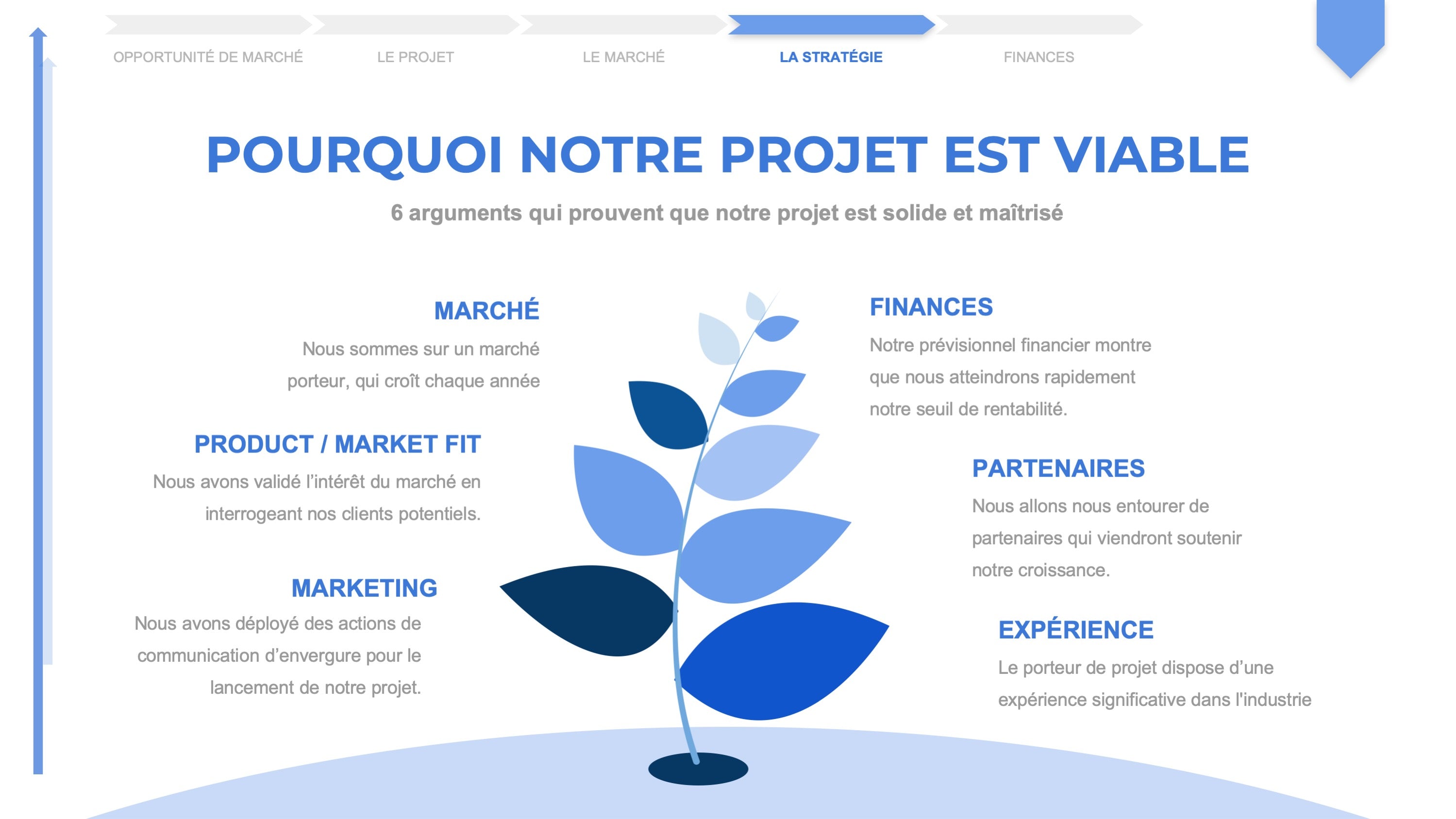 business plan d'une entreprise de transport