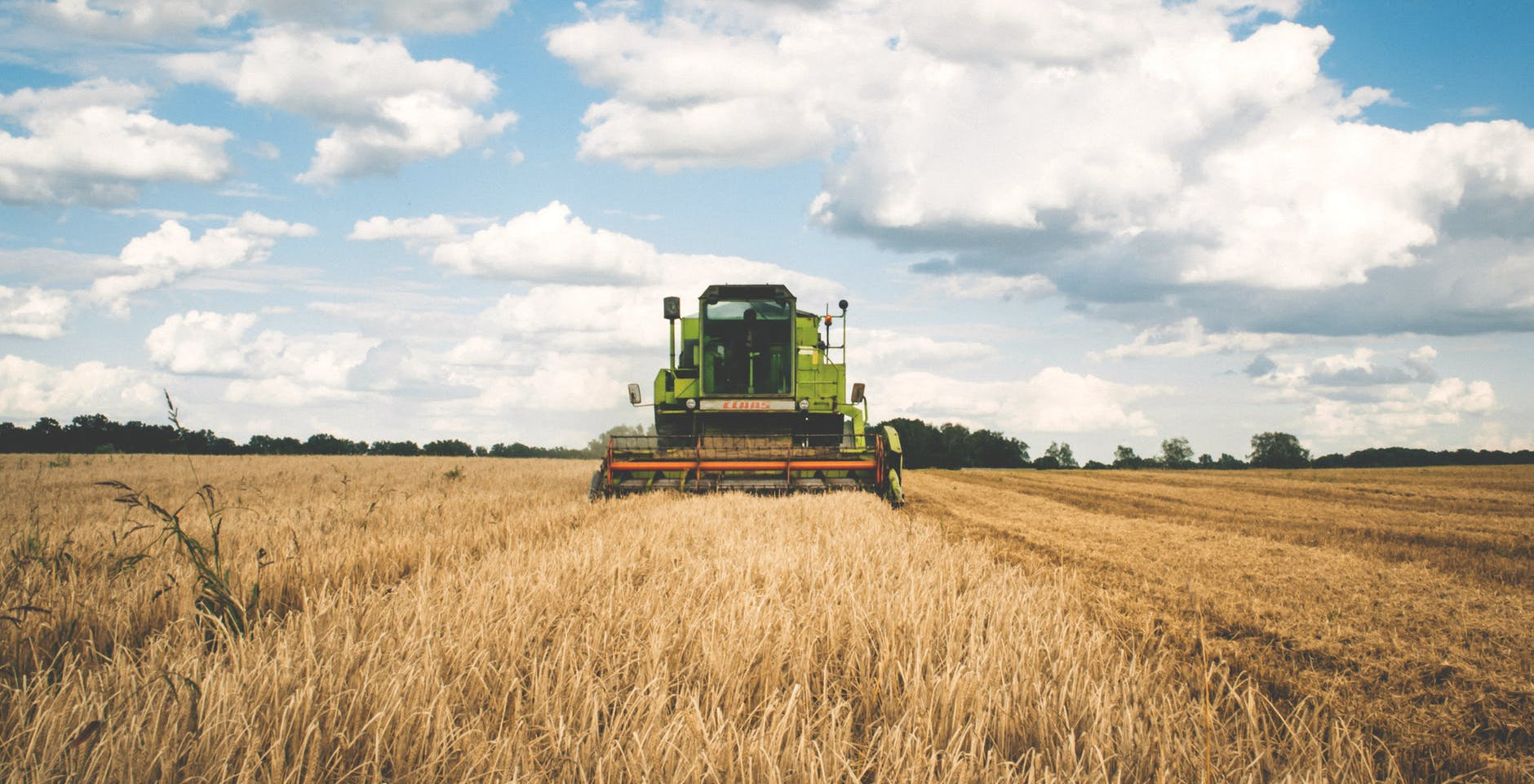 Un exemple de business plan pour une ferme agricole