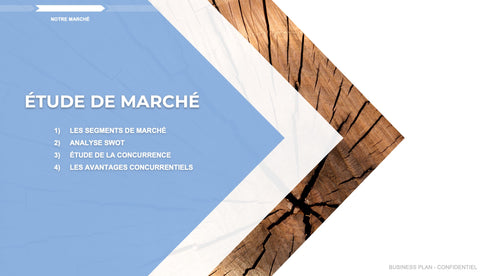 modele de business plan