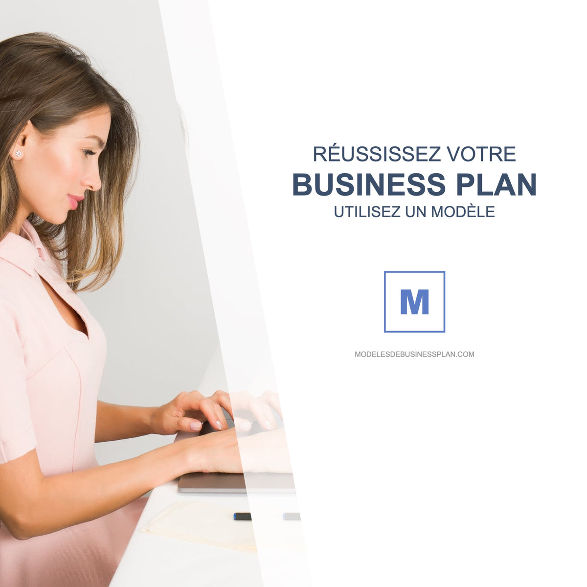 modele business plan pdf