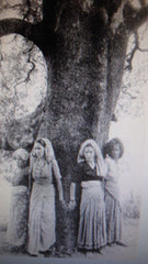 Chipko Tree-huggers