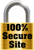 100% secure online shopping