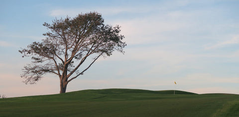 torrey-pines-phil-mickelson