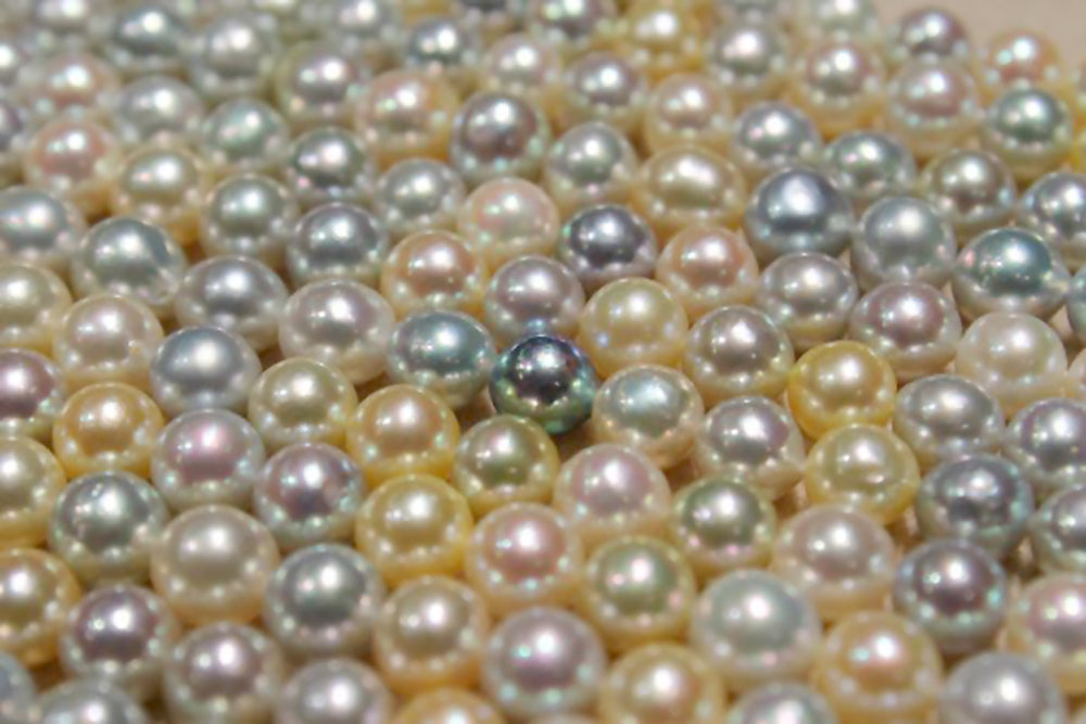 Akoya Pearls Come in a Rainbow of Colors