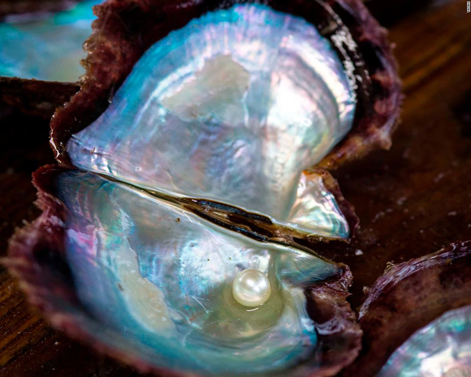 Saltwater vs. Freshwater Pearls: Akoya Pearls