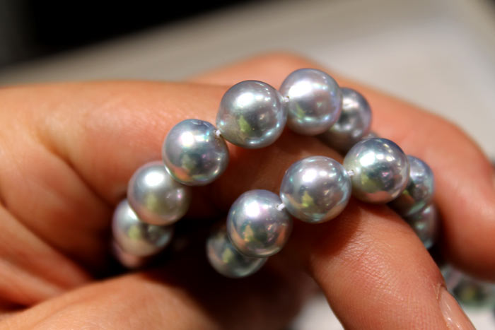 silver/blue Akoya pearl strands