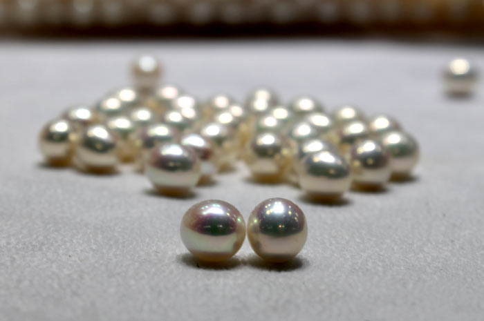 round metallic freshwater pearls