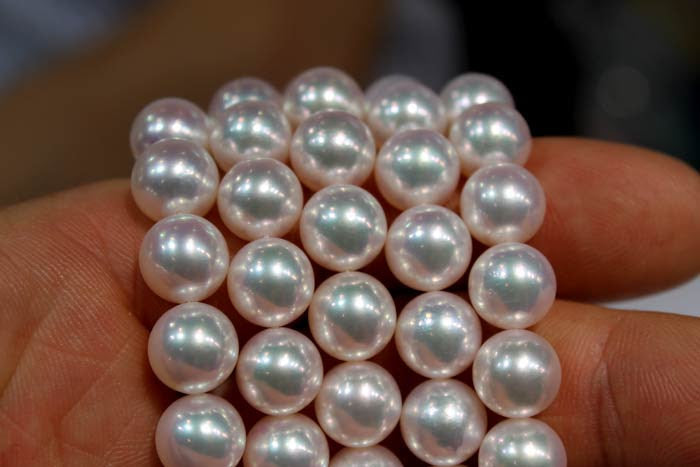 Madama Pearls.jpg