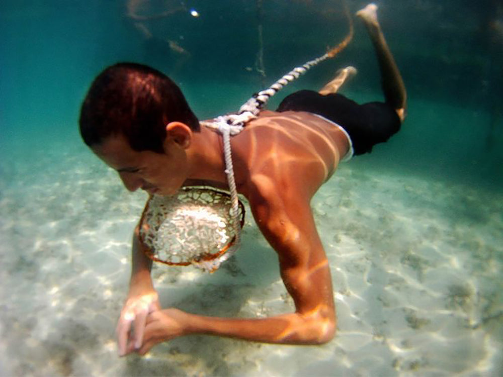 Pearl Diver Hunting for Pearls