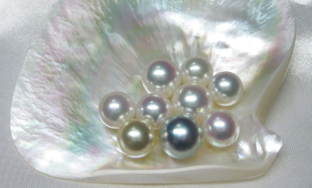Gorgeous White South Sea Pearls