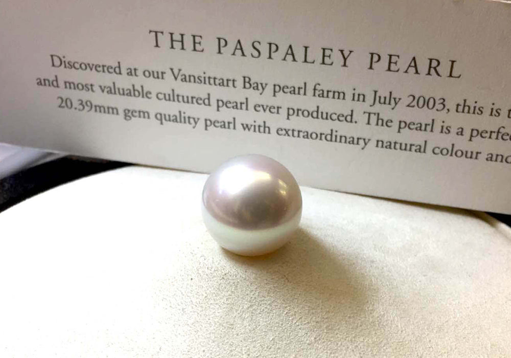 Most Expensive Pearls in the World: The Paspaley Pearl