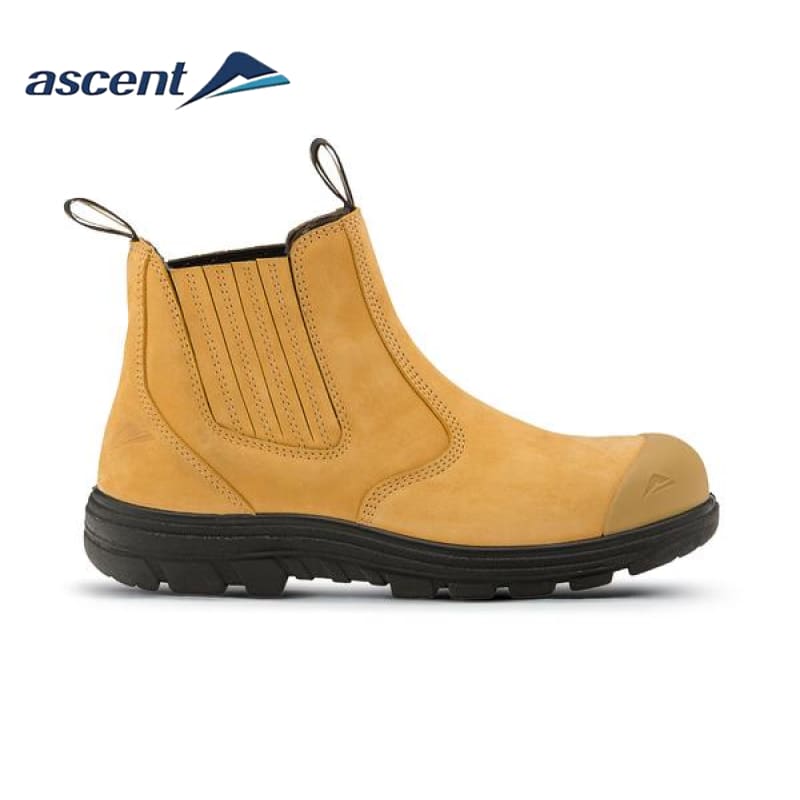 ascent steel cap shoes