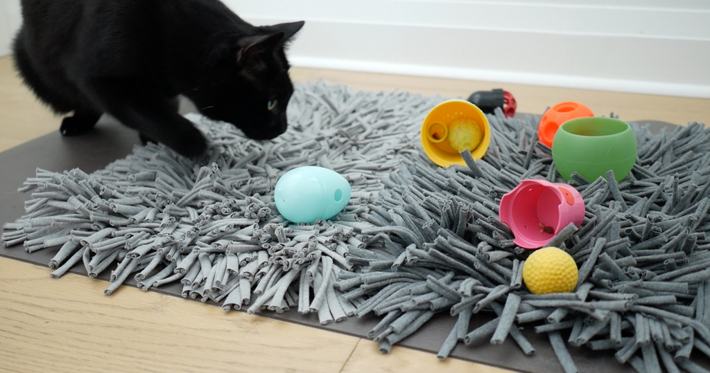 Your Cat Would Like Food Puzzle Toys