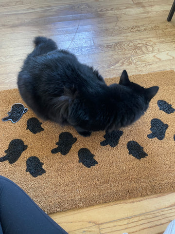 My cat helping with me with my doormat by sitting on it and not allowing me to paint it