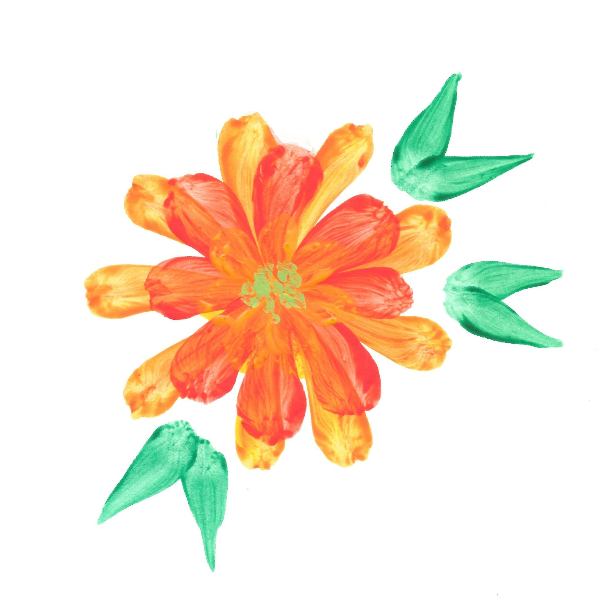 strokes painted using round brush