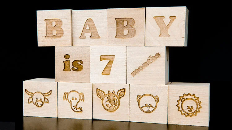 Baby pet building blocks