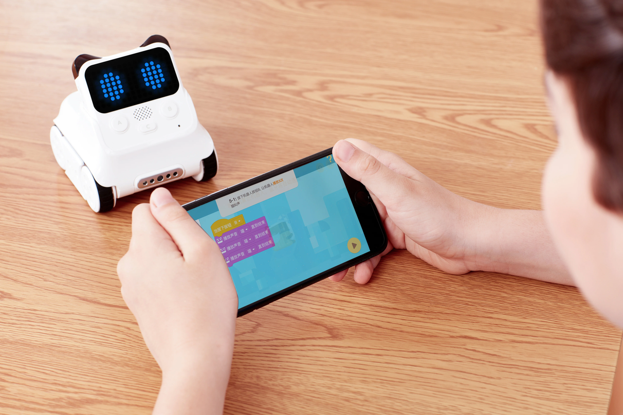 Smart Robot Toy for Interactive Playing and Learning