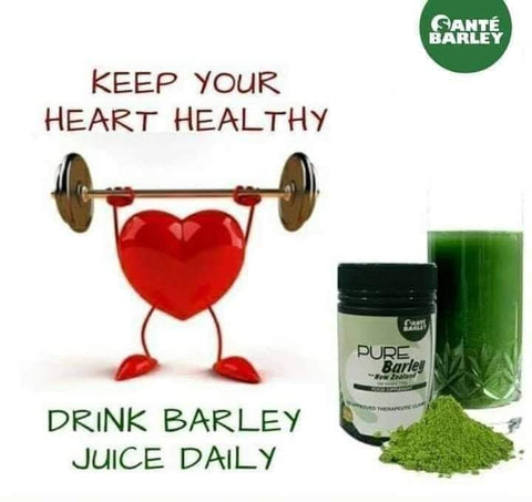 Sante BArley Grass powder