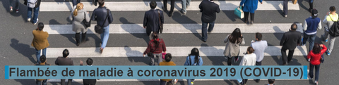 Épidémie actuelle de nouveau coronavirus (COVID-19)