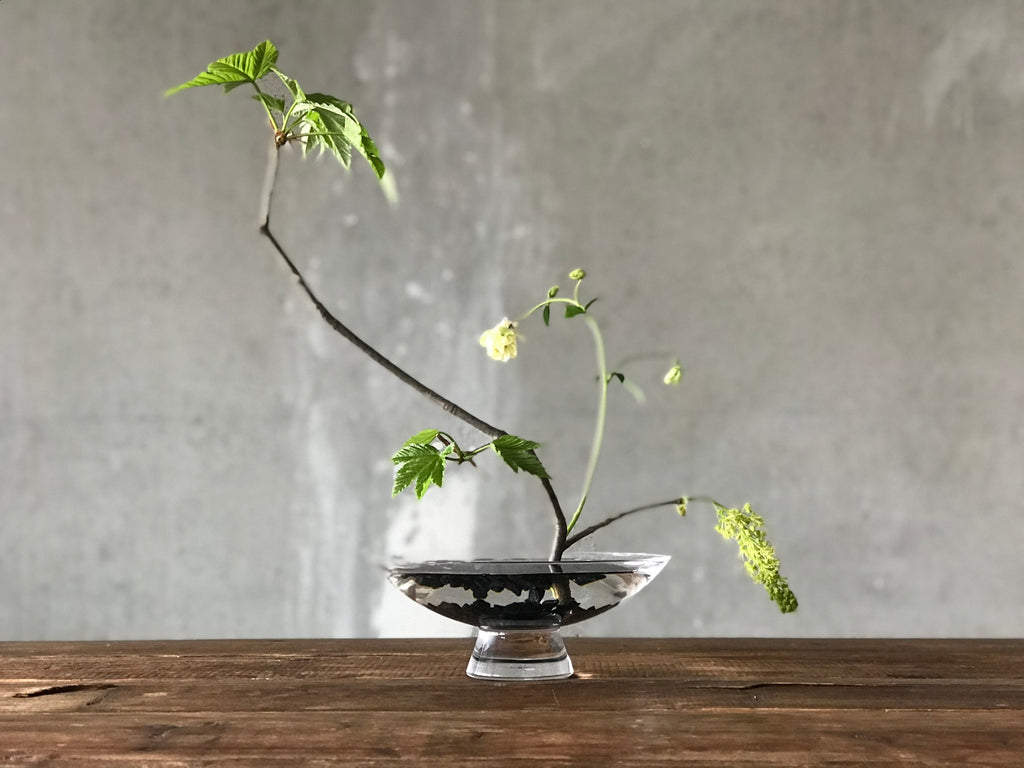 Creazione Ikebana di @the_ikebana_project nella ciotola Silhouette di NUDE