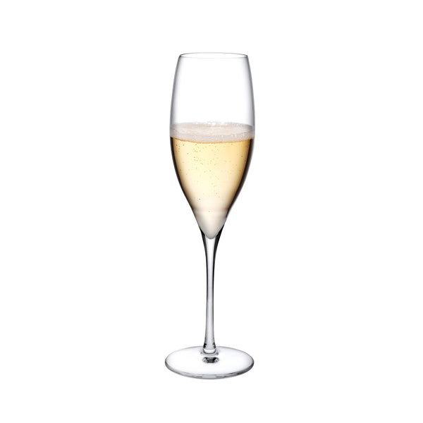 Terroir@Set of 2 Champagne Glasses