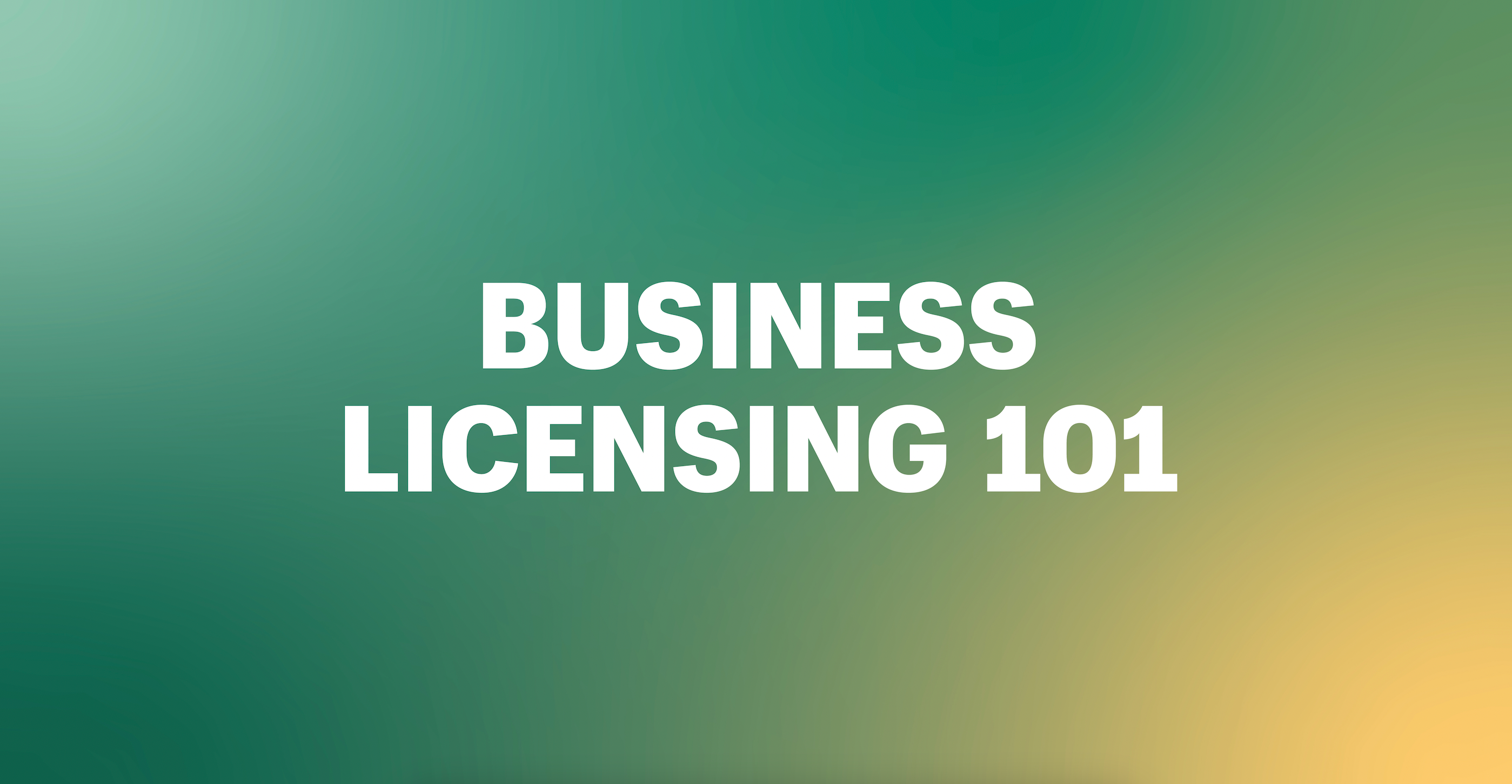 business licensing 101